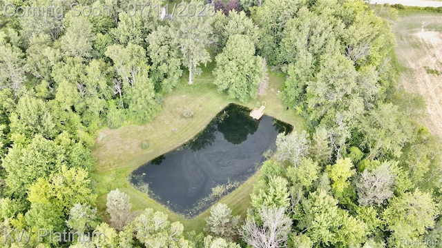 3775 Carrigan Rd, Fort Gratiot, MI 48059 - aerial view of property and surrounding area featuring a large body of water