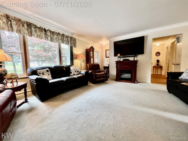 3775 Carrigan Rd, Fort Gratiot, MI 48059 - living area featuring ornamental molding, carpet, and a fireplace