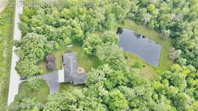 3775 Carrigan Rd, Fort Gratiot, MI 48059 - aerial view of property's location featuring a nearby body of water