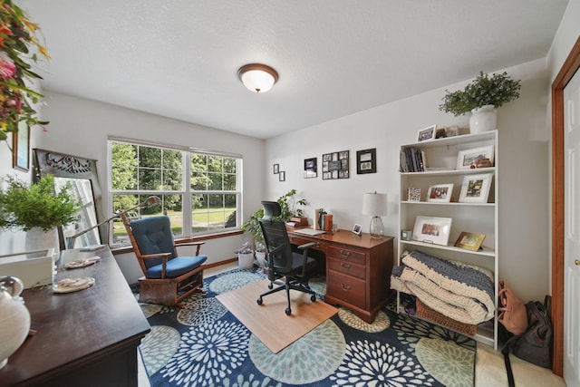 8395 Dalton Rd, Onsted, MI 49265 - office space featuring baseboards