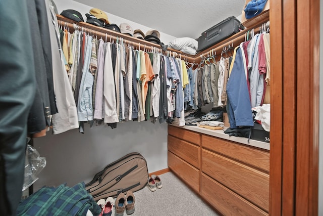 8395 Dalton Rd, Onsted, MI 49265 - spacious closet featuring light colored carpet