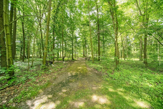 8395 Dalton Rd, Onsted, MI 49265 - view of tree filled area