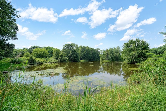 8395 Dalton Rd, Onsted, MI 49265 - water view featuring a forest
