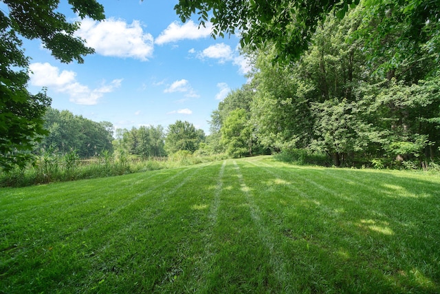 8395 Dalton Rd, Onsted, MI 49265 - view of green lawn with a view of trees