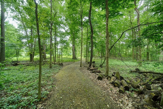 8395 Dalton Rd, Onsted, MI 49265 - view of wooded area