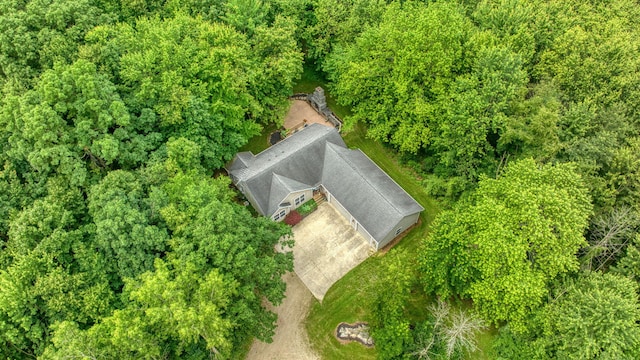 8395 Dalton Rd, Onsted, MI 49265 - aerial view of property and surrounding area