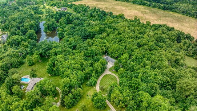 8395 Dalton Rd, Onsted, MI 49265 - aerial view of a large body of water