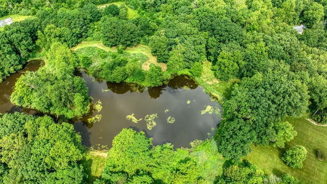 8395 Dalton Rd, Onsted, MI 49265 - aerial view of a large body of water