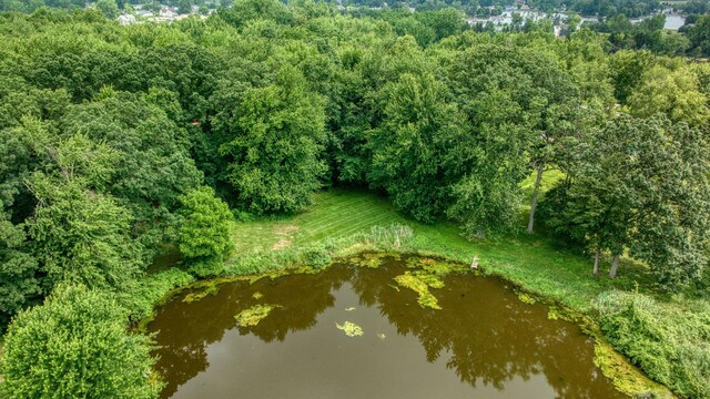 8395 Dalton Rd, Onsted, MI 49265 - view of property location featuring a large body of water
