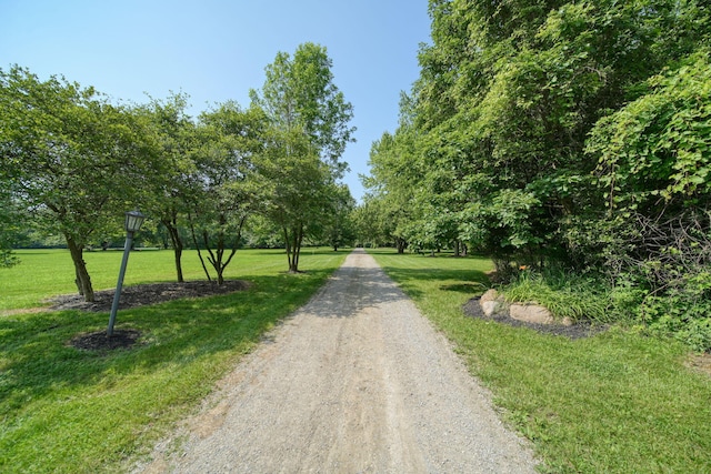 8395 Dalton Rd, Onsted, MI 49265 - view of dirt / gravel road