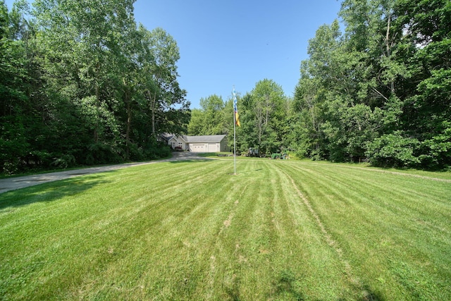 8395 Dalton Rd, Onsted, MI 49265 - view of green lawn featuring a garage and a wooded view
