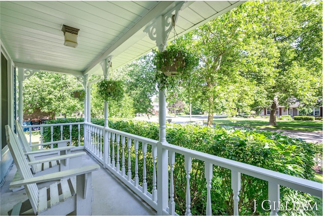 1214 Euna Vista Dr, Holland, MI 49423 - view of covered porch