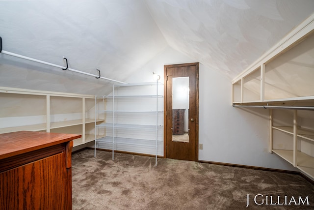 1214 Euna Vista Dr, Holland, MI 49423 - view of storage room