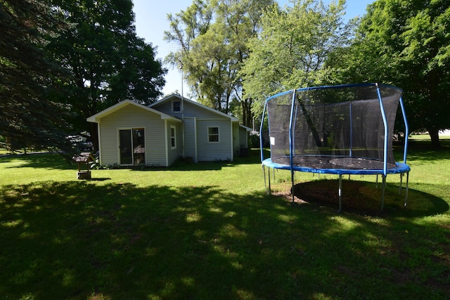 325 Dallas St, Colon, MI 49040 - back of property with a lawn and a trampoline