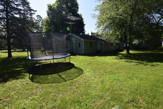 325 Dallas St, Colon, MI 49040 - view of grassy yard featuring a trampoline