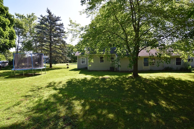 325 Dallas St, Colon, MI 49040 - view of green lawn with a trampoline