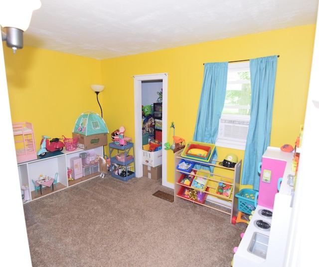 325 Dallas St, Colon, MI 49040 - playroom featuring carpet flooring