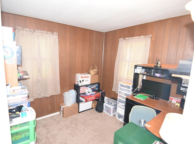 325 Dallas St, Colon, MI 49040 - office with carpet floors and wood walls