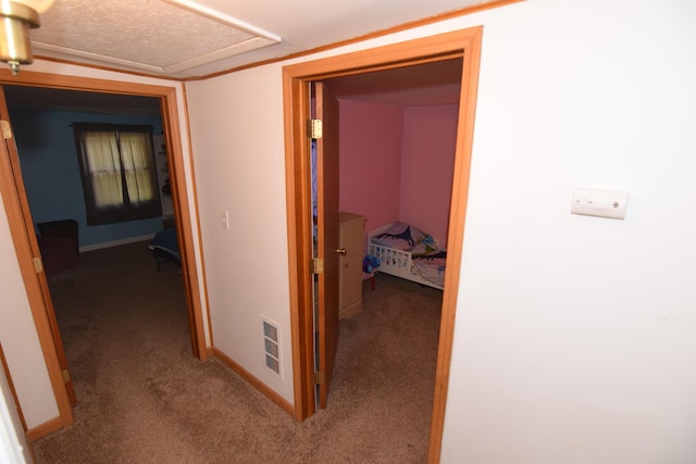 325 Dallas St, Colon, MI 49040 - hall with carpet flooring