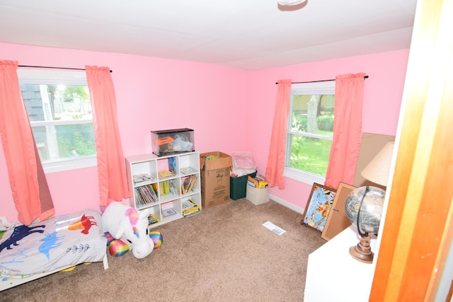 325 Dallas St, Colon, MI 49040 - playroom featuring healthy amount of natural light and carpet flooring