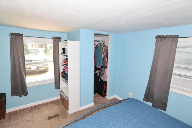 325 Dallas St, Colon, MI 49040 - bedroom featuring carpet flooring and a closet