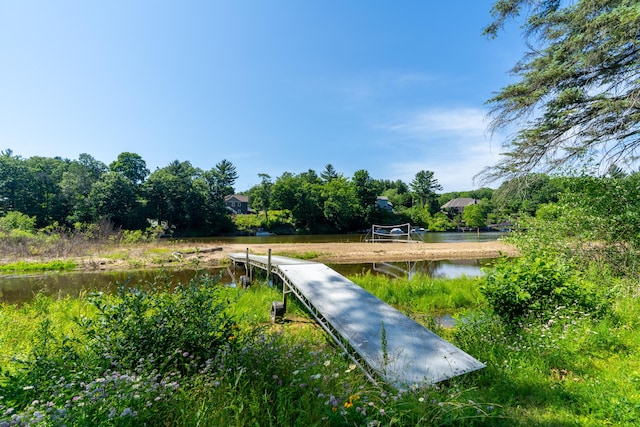 11901 187th Ave, Stanwood, MI 49346 - dock area with a water view