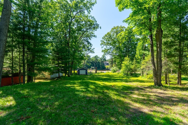 11901 187th Ave, Stanwood, MI 49346 - view of green lawn featuring a storage unit