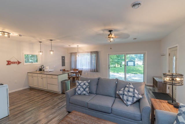 11901 187th Ave, Stanwood, MI 49346 - living room with dark wood-style flooring, a ceiling fan, and electric panel