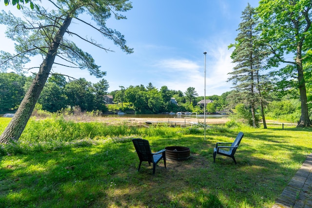 11901 187th Ave, Stanwood, MI 49346 - view of yard with an outdoor fire pit