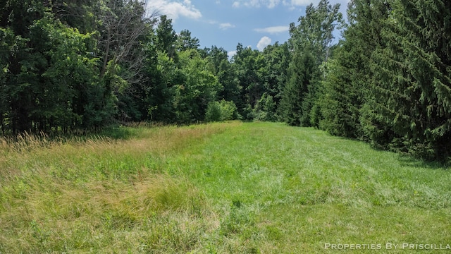 9265 Mulliken Rd, Mulliken, MI 48861 - view of woods