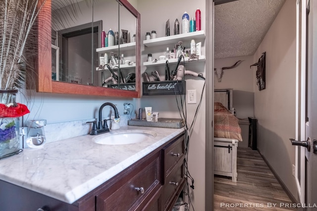 9265 Mulliken Rd, Mulliken, MI 48861 - bathroom with wood finished floors, vanity, and a textured ceiling