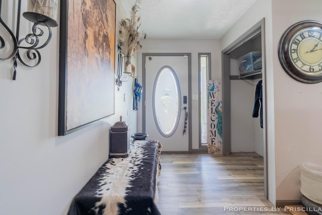9265 Mulliken Rd, Mulliken, MI 48861 - foyer with wood finished floors and a textured ceiling