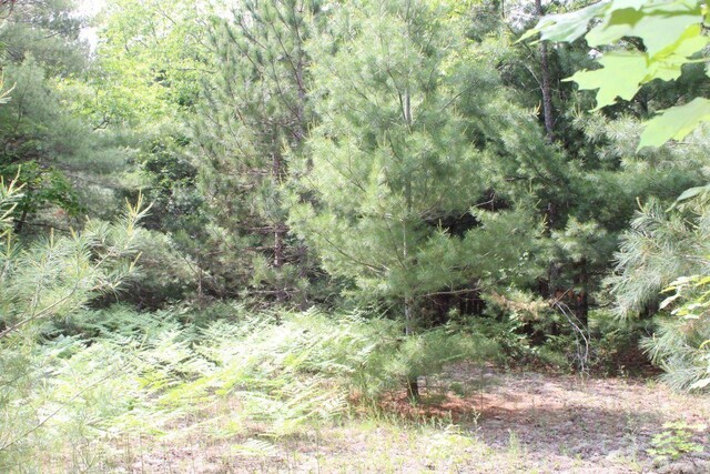 1016 Woodchuck Dr, Mancelona, MI 49659 - photo 28
