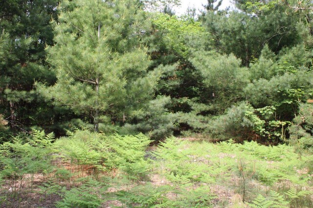 1016 Woodchuck Dr, Mancelona, MI 49659 - photo 29