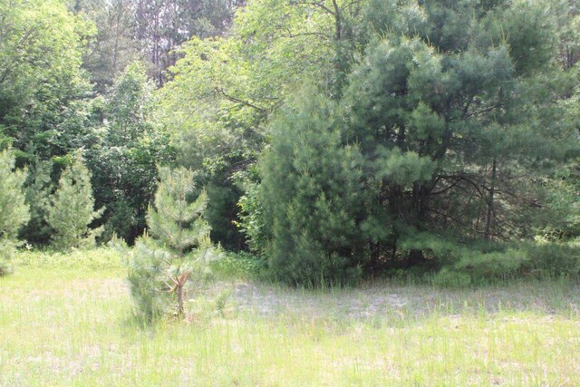 1016 Woodchuck Dr, Mancelona, MI 49659 - photo 31