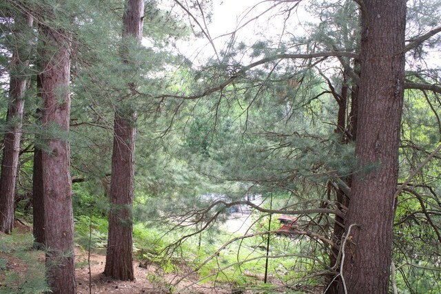 1016 Woodchuck Dr, Mancelona, MI 49659 - photo 38