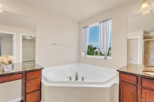 6119 Amber Ln, Grand Blanc, MI 48439 - bathroom with vanity, a bath, and a shower stall