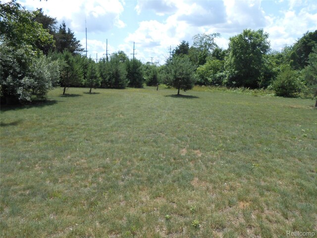 8027 Lakeshore Rd, Lexington, MI 48450 - view of green lawn