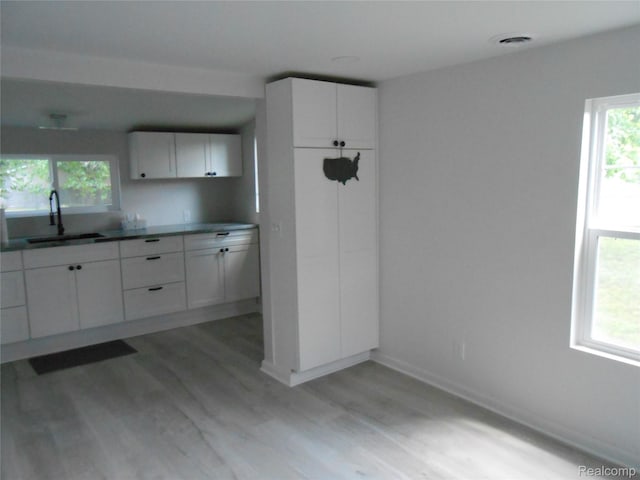 8027 Lakeshore Rd, Lexington, MI 48450 - kitchen featuring light wood-type flooring, white cabinets, and plenty of natural light