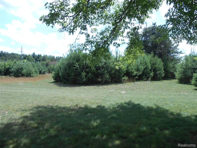 8027 Lakeshore Rd, Lexington, MI 48450 - view of grassy yard