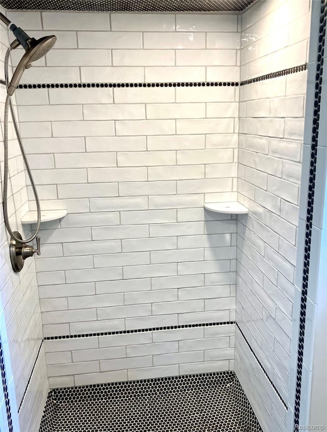 8027 Lakeshore Rd, Lexington, MI 48450 - full bath with a tile shower