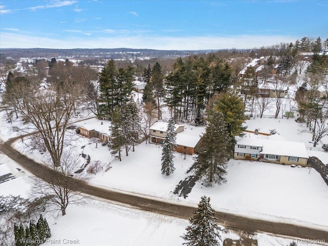 6490 Waterford Hill Ter, Clarkston, MI 48346 - photo 41