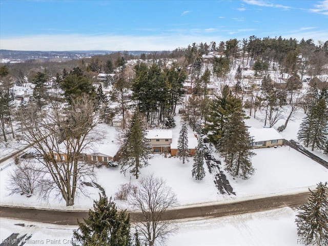 6490 Waterford Hill Ter, Clarkston, MI 48346 - photo 42
