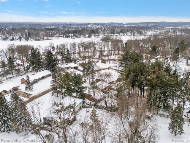6490 Waterford Hill Ter, Clarkston, MI 48346 - photo 43