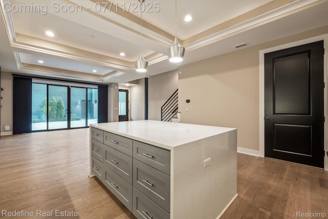 722 E Parent Ave, Royal Oak, MI 48067 - kitchen with gray cabinetry, light wood-style floors, a raised ceiling, a center island, and light countertops