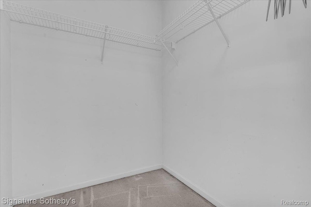 182 Amys Walk, Auburn Hills, MI 48326 - walk in closet featuring light colored carpet