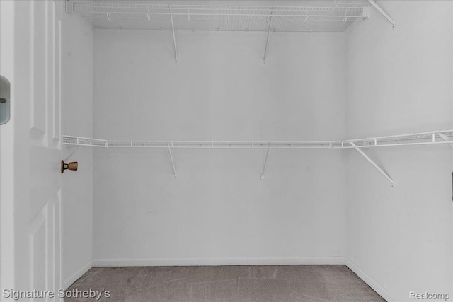 182 Amys Walk, Auburn Hills, MI 48326 - spacious closet featuring carpet flooring