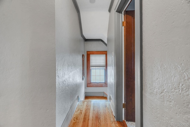 648 S Highland St, Dearborn, MI 48124 - hallway with a textured wall and wood finished floors