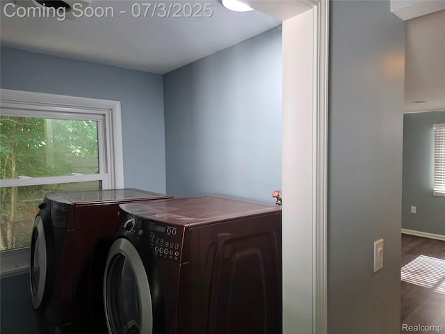 32251 Elmwood St, Garden City, MI 48135 - photo 49