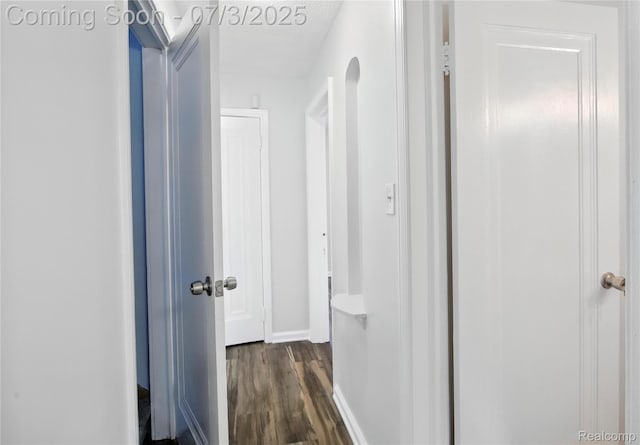 65 Martin Luther King Jr Blvd N, Pontiac, MI 48342 - hall featuring dark wood-style flooring and baseboards